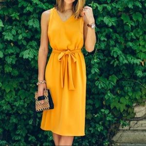 Ann Taylor Marigold Midi Dress